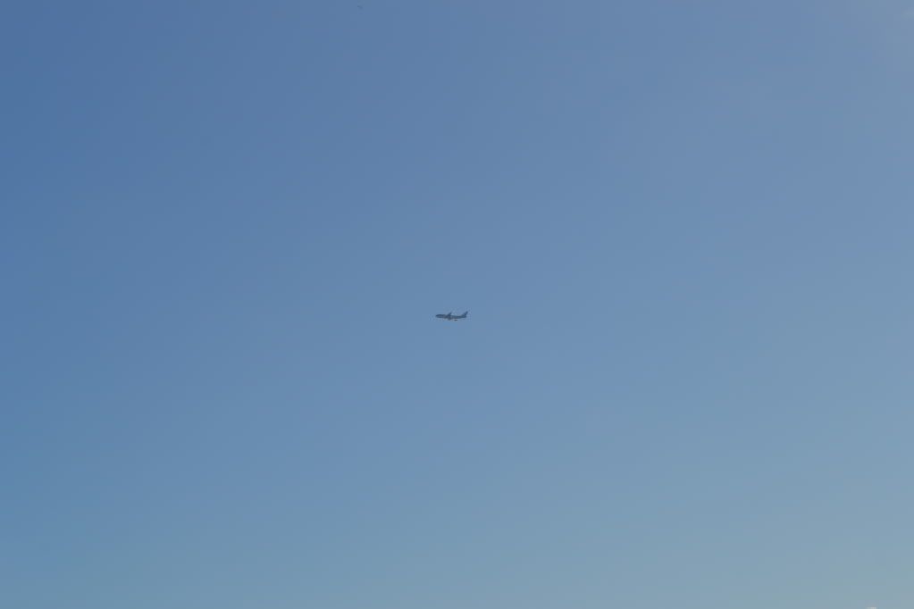 DSC_0570.jpg