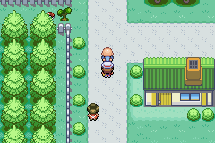 leafGreen_07.png