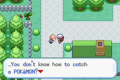 leafGreen_11.png