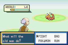 leafGreen_13.png