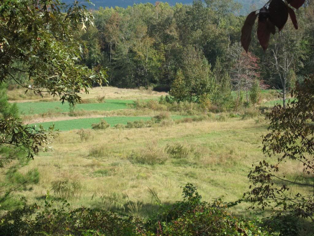 IMG_0866.jpg