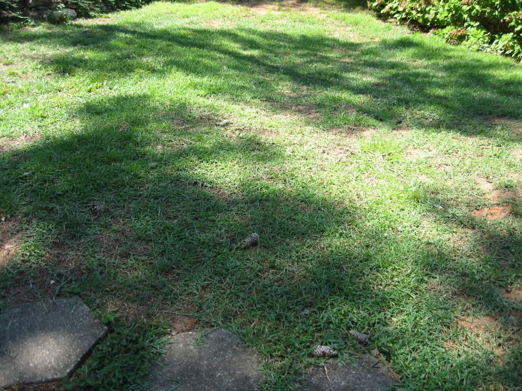 IMG_0156.jpg