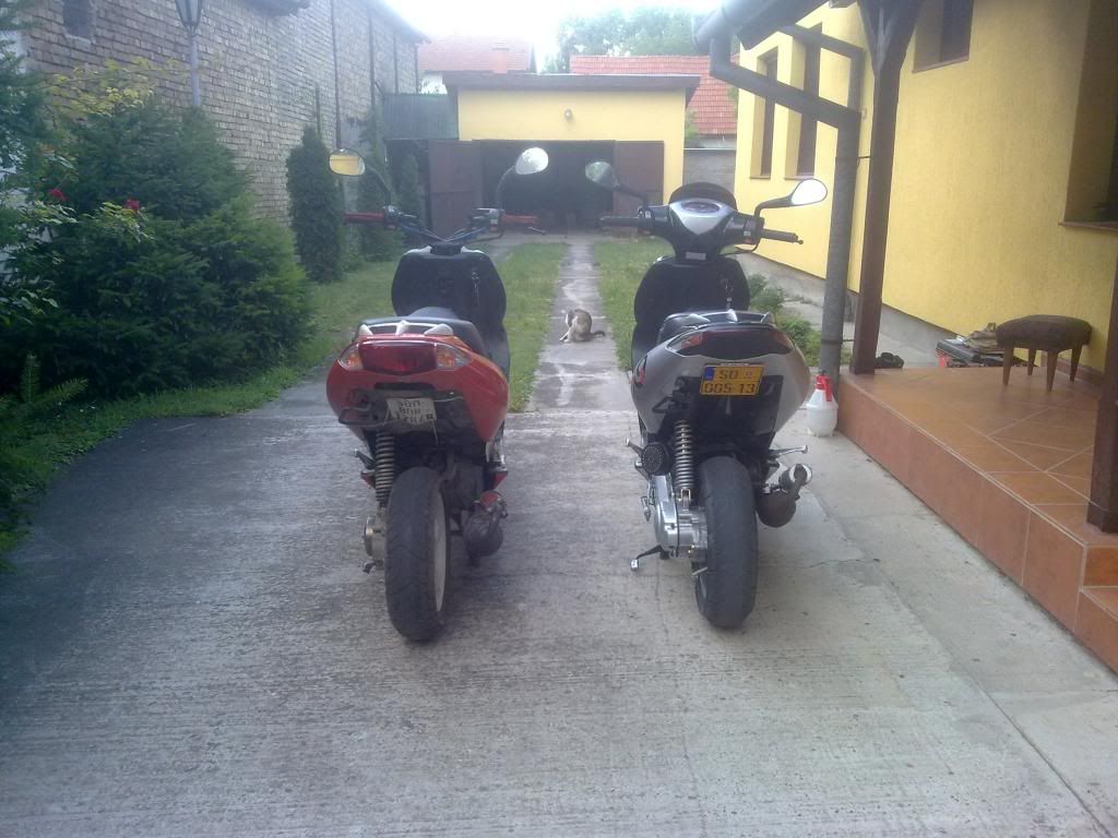 Posted Image