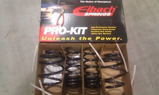 Eibach lowering springs nissan maxima #4