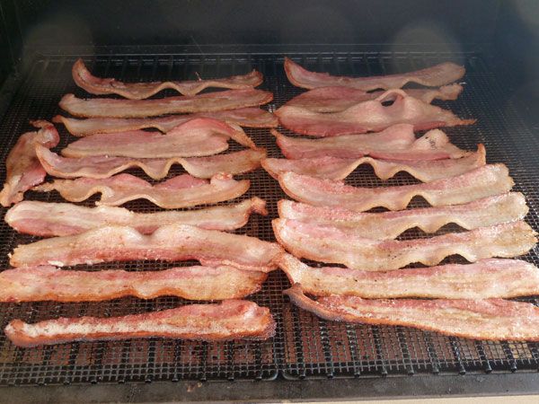 Bacon3.jpg