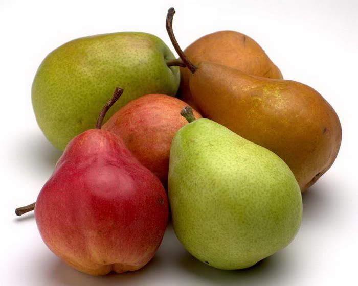 fruit photo