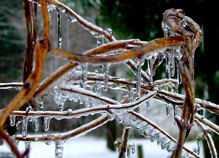 18 Awesome Winter Ice Photos