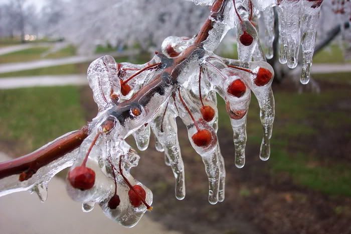 18 Awesome Winter Ice Photos