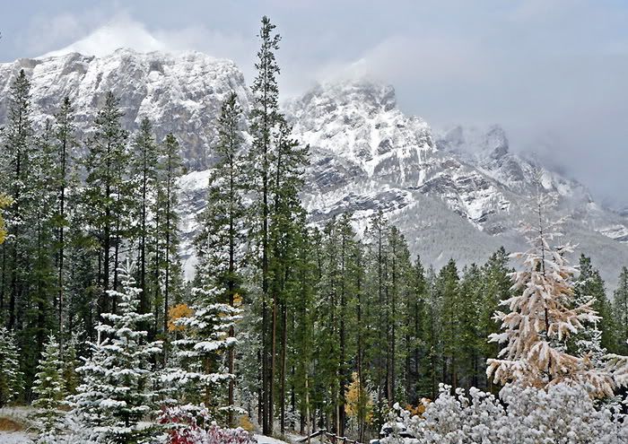winter mountain color