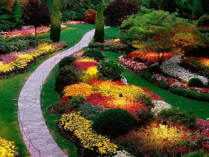 Outstanding Flower Garden Photos