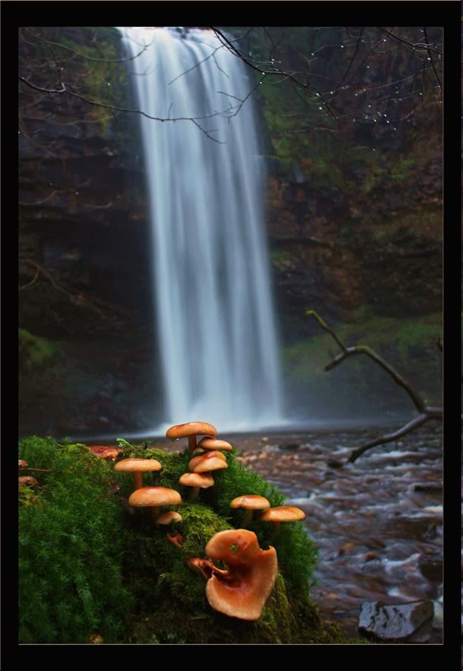 anh dep thac nuoc07 - Amazing Water Falls