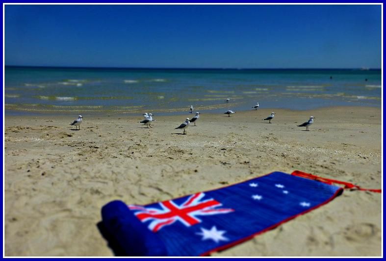 Australia Day photo 2_zps3e85c1a3.jpg