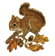 nature animated photo: Animals Animated 121.gif