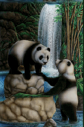 Panda Bears Waterfall