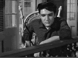 [Image: 9361.gif]