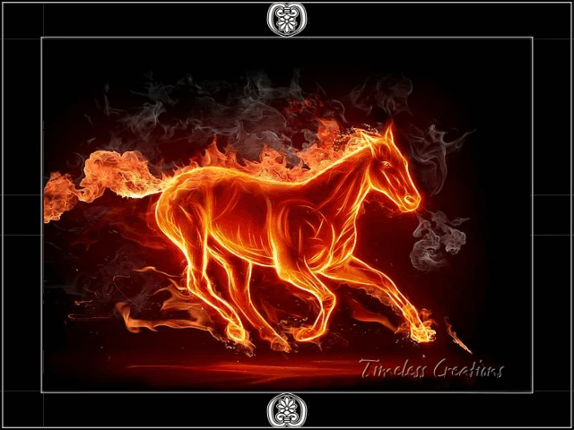 Flaming Horse Pictures, Images and Photos