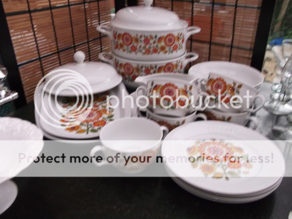 serving plates 5 soup bowls 4 side plates and 3 shallow soup bowls 