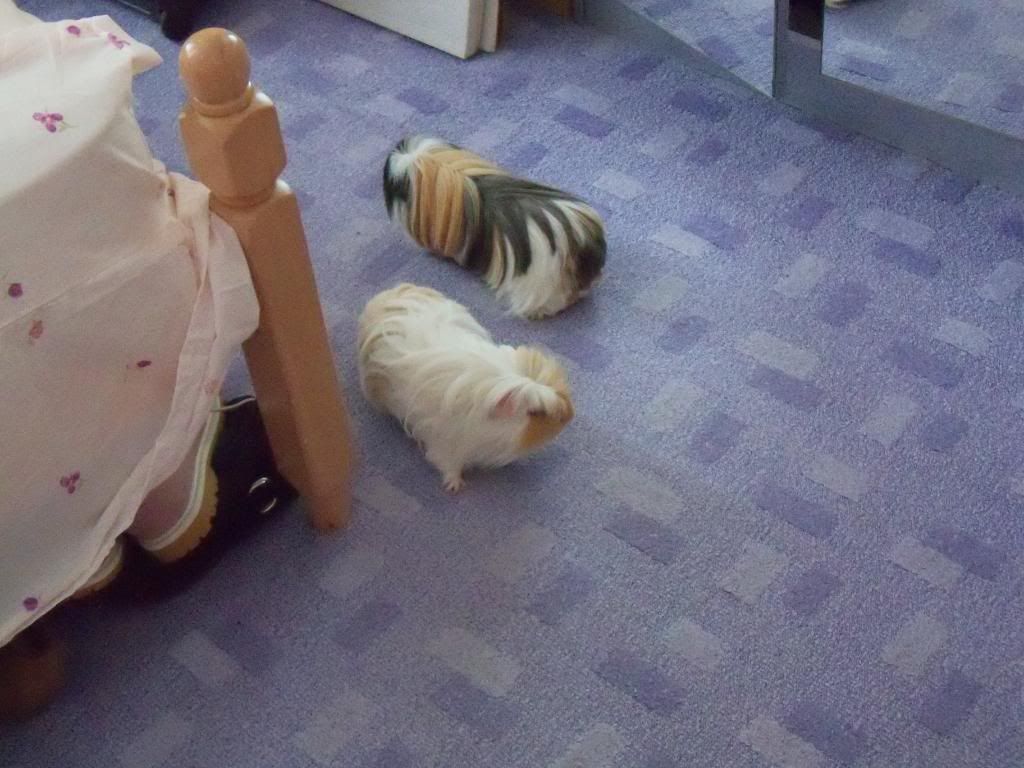 001-21.jpg