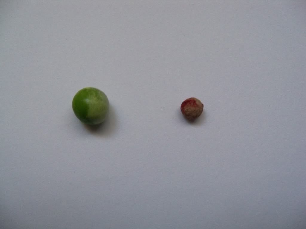 001-30.jpg