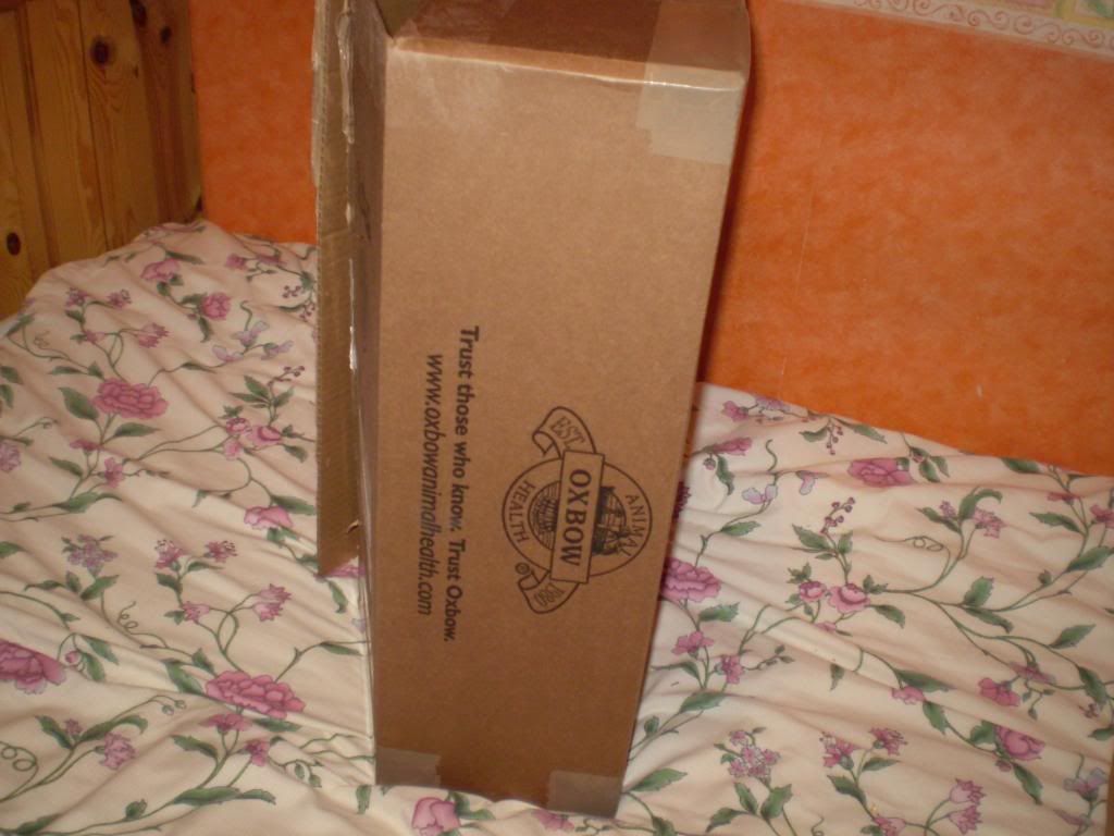 002-6.jpg